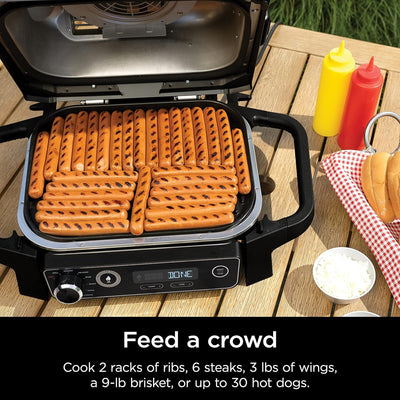 | Woodfire Series | 7-In-1 (Grill, BBQ, Roast, Air Fry, Dehydrate, Broil, Smoke) | Portable & Weather Resistant | Cook up to 6 Steaks & 30 Hot Dogs | Woodfire Pellets Included | OG701